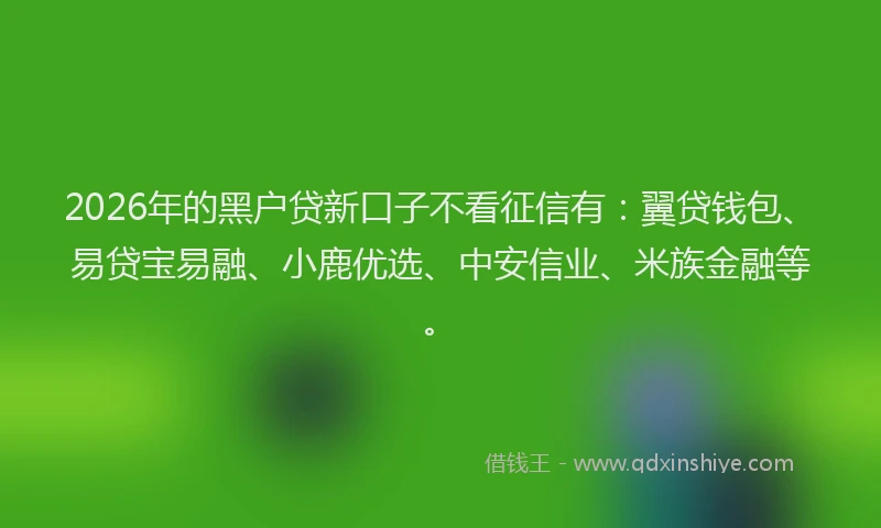 2026年的黑户贷新口子不看征信有：翼贷钱包、易贷宝易融、小鹿优选、中安信业、米族金融等。