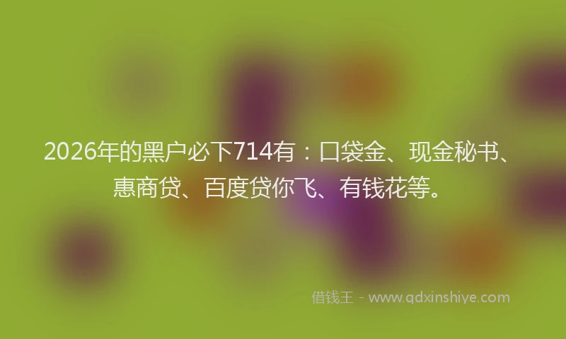 2026年的黑户必下714有：口袋金、现金秘书、惠商贷、百度贷你飞、有钱花等。