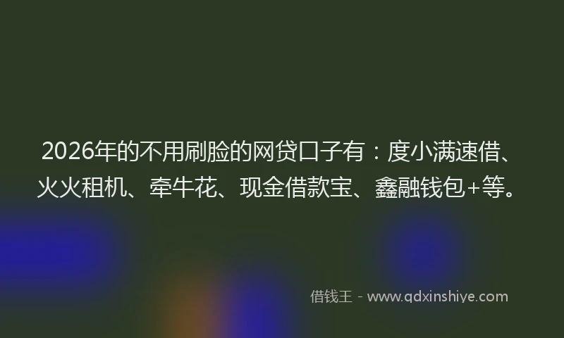 2026年的不用刷脸的网贷口子有：度小满速借、火火租机、牵牛花、现金借款宝、鑫融钱包+等。