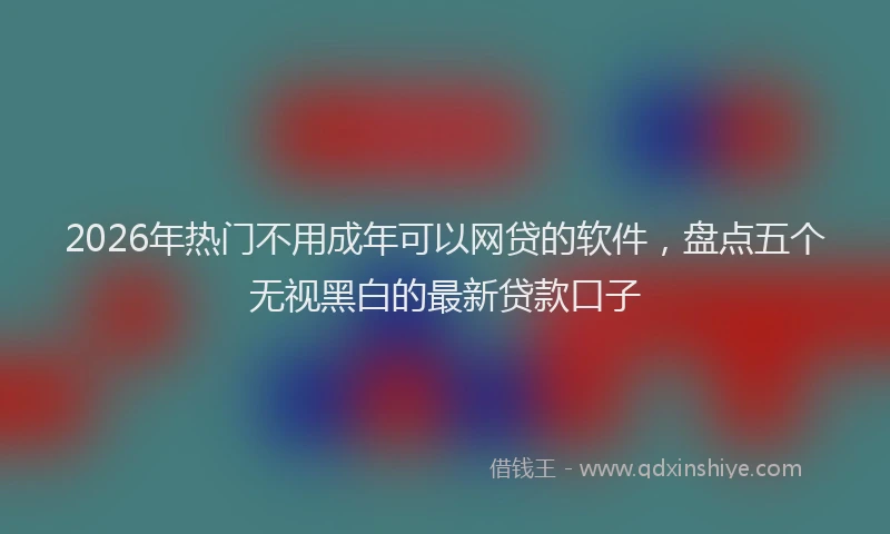 2026年热门不用成年可以网贷的软件，盘点五个无视黑白的最新贷款口子