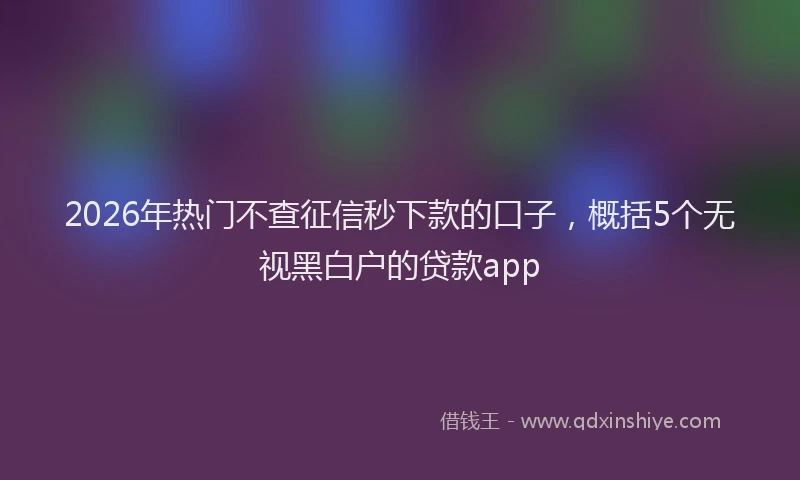 2026年热门不查征信秒下款的口子，概括5个无视黑白户的贷款app
