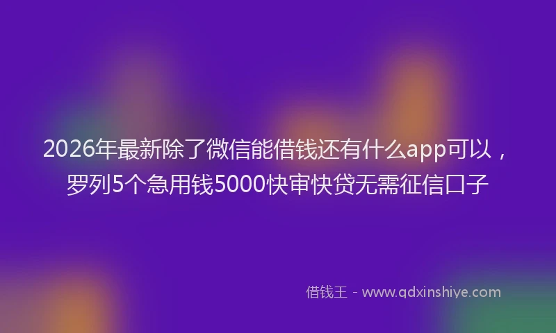 2026年最新除了微信能借钱还有什么app可以，罗列5个急用钱5000快审快贷无需征信口子