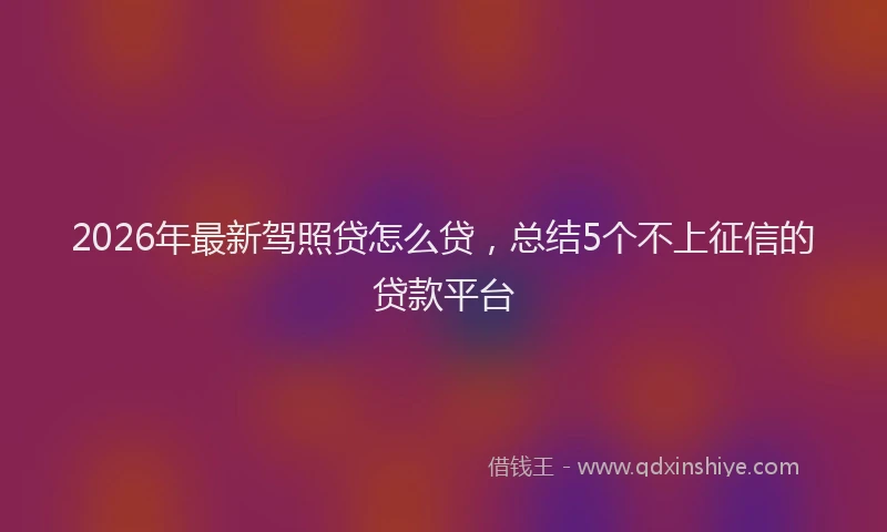 2026年最新驾照贷怎么贷，总结5个不上征信的贷款平台
