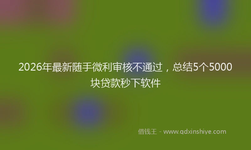 2026年最新随手微利审核不通过，总结5个5000块贷款秒下软件