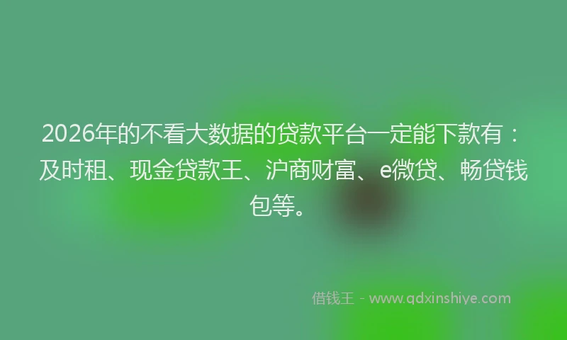 2026年的不看大数据的贷款平台一定能下款有：及时租、现金贷款王、沪商财富、e微贷、畅贷钱包等。