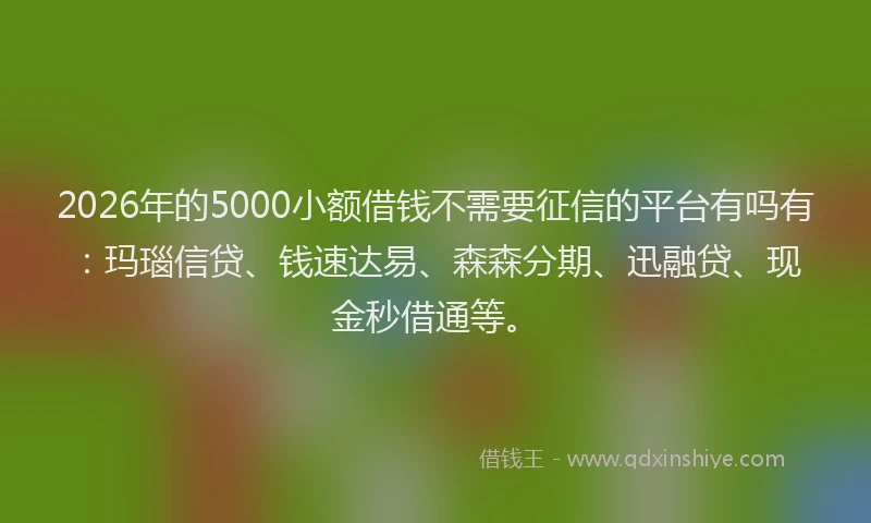 2026年的5000小额借钱不需要征信的平台有吗有：玛瑙信贷、钱速达易、森森分期、迅融贷、现金秒借通等。