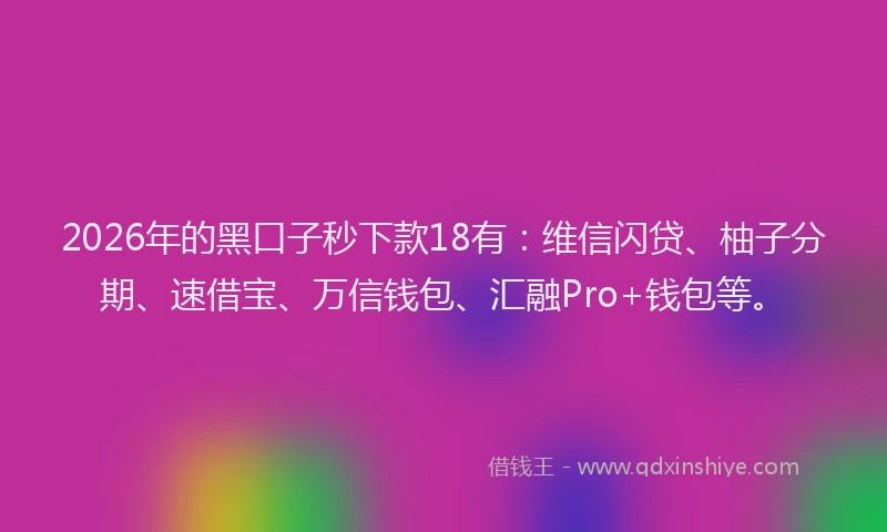 2026年的黑口子秒下款18有：维信闪贷、柚子分期、速借宝、万信钱包、汇融Pro+钱包等。