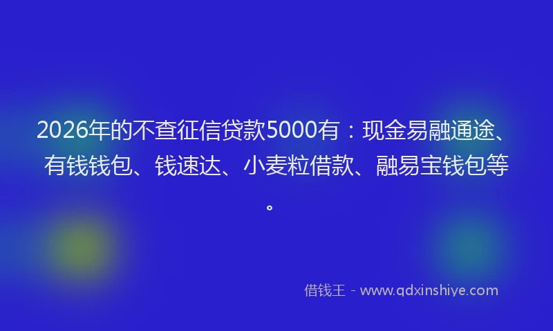 2026年的不查征信贷款5000有：现金易融通途、有钱钱包、钱速达、小麦粒借款、融易宝钱包等。