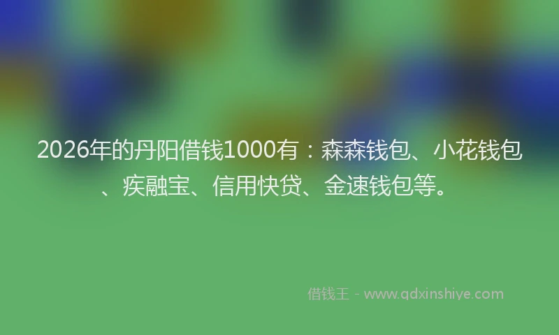 2026年的丹阳借钱1000有：森森钱包、小花钱包、疾融宝、信用快贷、金速钱包等。