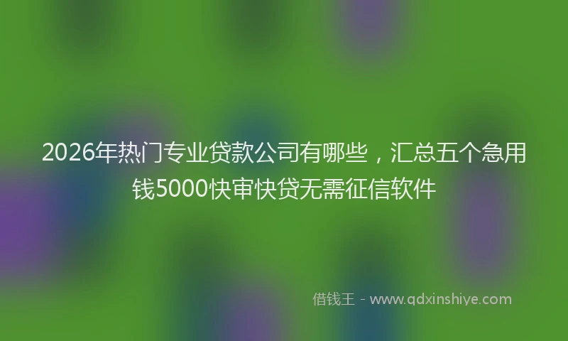 2026年热门专业贷款公司有哪些，汇总五个急用钱5000快审快贷无需征信软件