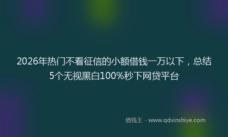 2026年热门不看征信的小额借钱一万以下，总结5个无视黑白100%秒下网贷平台