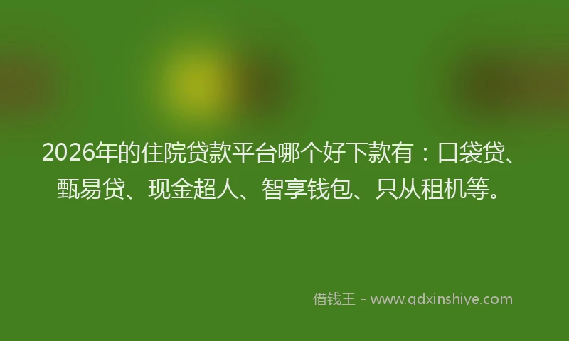 2026年的住院贷款平台哪个好下款有：口袋贷、甄易贷、现金超人、智享钱包、只从租机等。