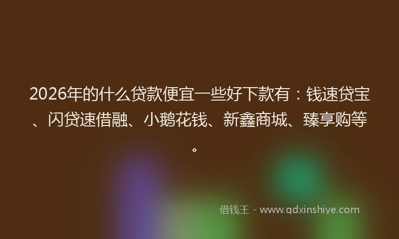 2026年的什么贷款便宜一些好下款有：钱速贷宝、闪贷速借融、小鹅花钱、新鑫商城、臻享购等。