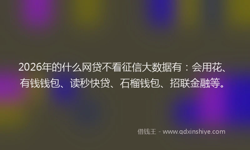 2026年的什么网贷不看征信大数据有：会用花、有钱钱包、读秒快贷、石榴钱包、招联金融等。