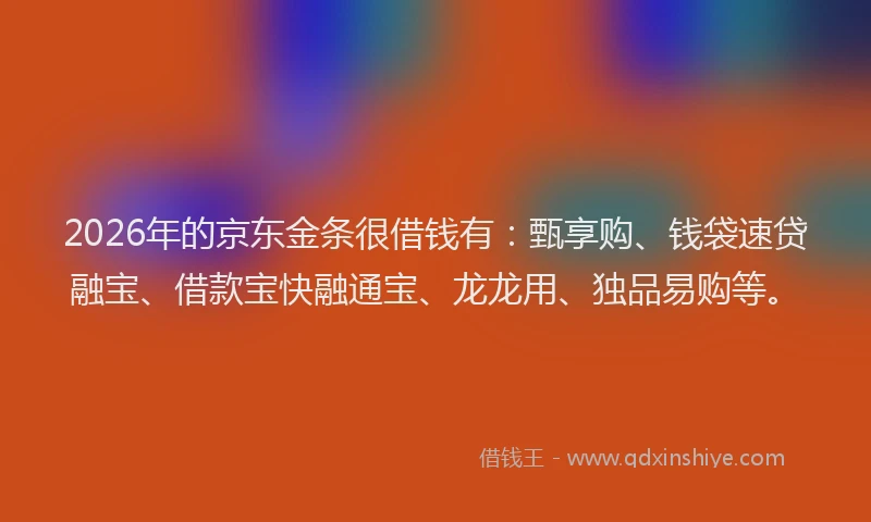 2026年的京东金条很借钱有：甄享购、钱袋速贷融宝、借款宝快融通宝、龙龙用、独品易购等。