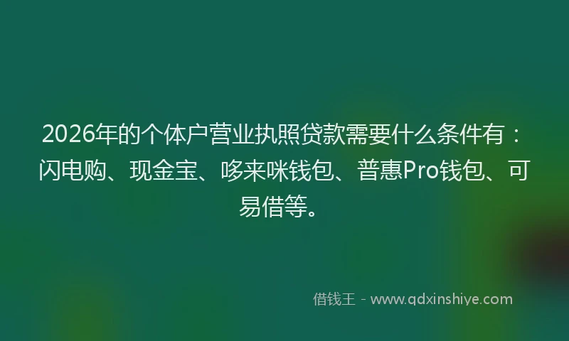 2026年的个体户营业执照贷款需要什么条件有：闪电购、现金宝、哆来咪钱包、普惠Pro钱包、可易借等。