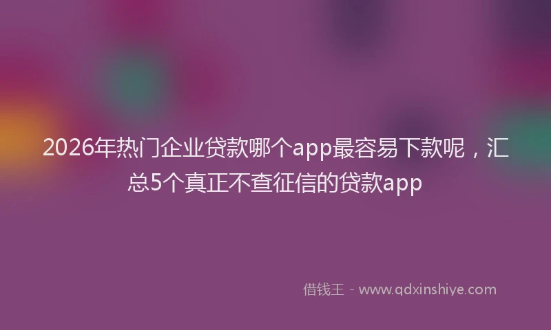 2026年热门企业贷款哪个app最容易下款呢，汇总5个真正不查征信的贷款app