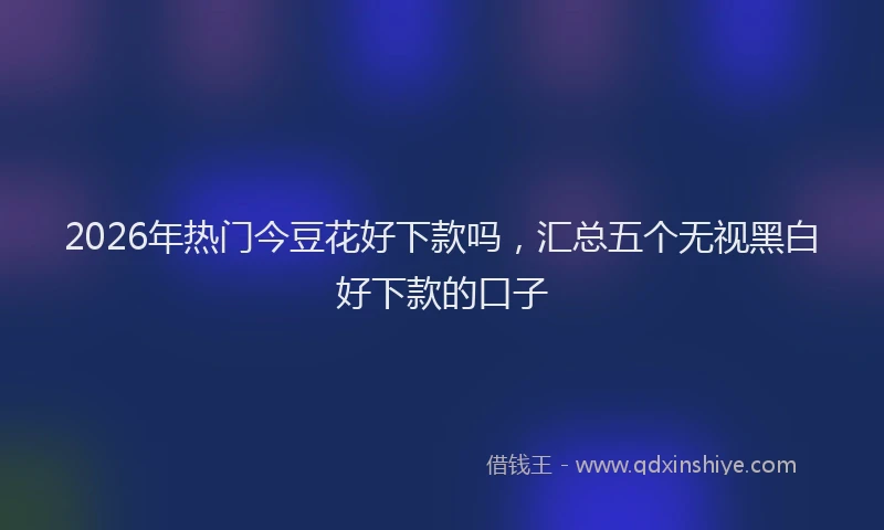 2026年热门今豆花好下款吗，汇总五个无视黑白好下款的口子