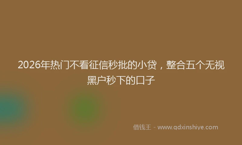 2026年热门不看征信秒批的小贷，整合五个无视黑户秒下的口子