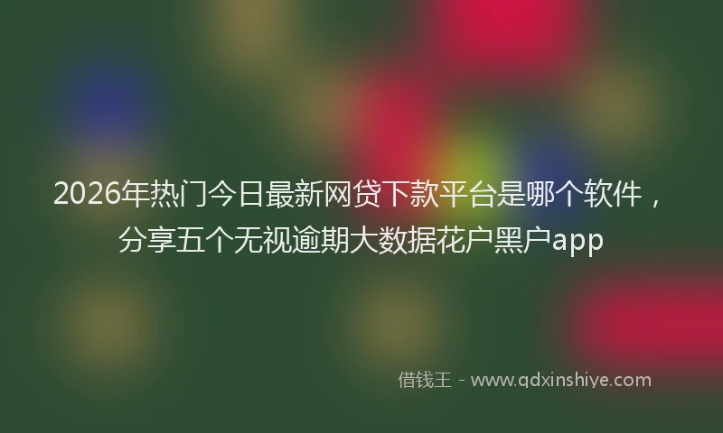 2026年热门今日最新网贷下款平台是哪个软件，分享五个无视逾期大数据花户黑户app