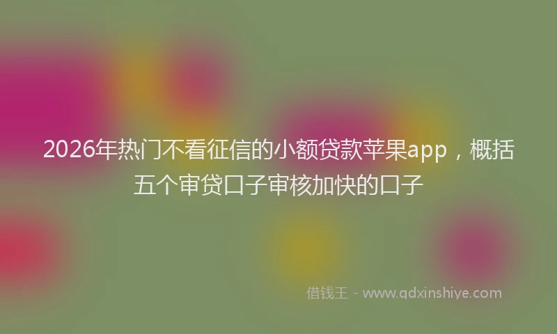 2026年热门不看征信的小额贷款苹果app，概括五个审贷口子审核加快的口子