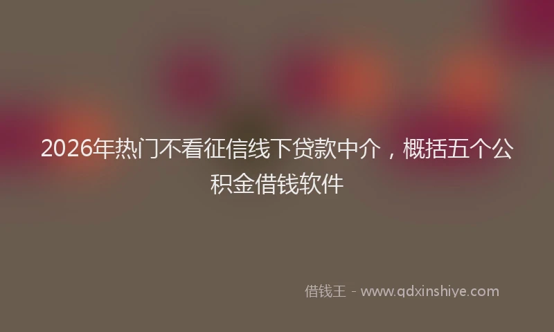 2026年热门不看征信线下贷款中介，概括五个公积金借钱软件