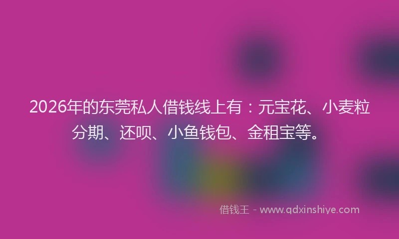 2026年的东莞私人借钱线上有：元宝花、小麦粒分期、还呗、小鱼钱包、金租宝等。