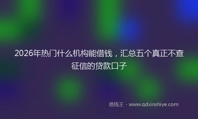 2026年热门什么机构能借钱，汇总五个真正不查征信的贷款口子