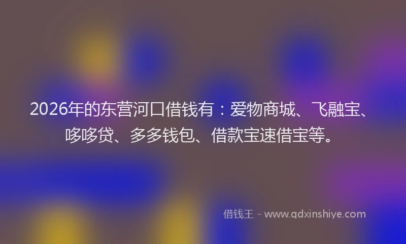 2026年的东营河口借钱有：爱物商城、飞融宝、哆哆贷、多多钱包、借款宝速借宝等。