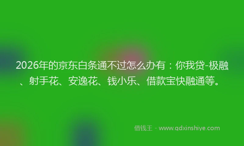 2026年的京东白条通不过怎么办有：你我贷-极融、射手花、安逸花、钱小乐、借款宝快融通等。