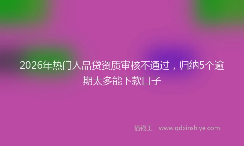 2026年热门人品贷资质审核不通过，归纳5个逾期太多能下款口子