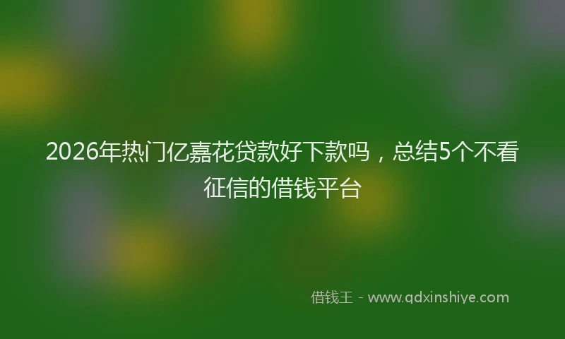 2026年热门亿嘉花贷款好下款吗，总结5个不看征信的借钱平台