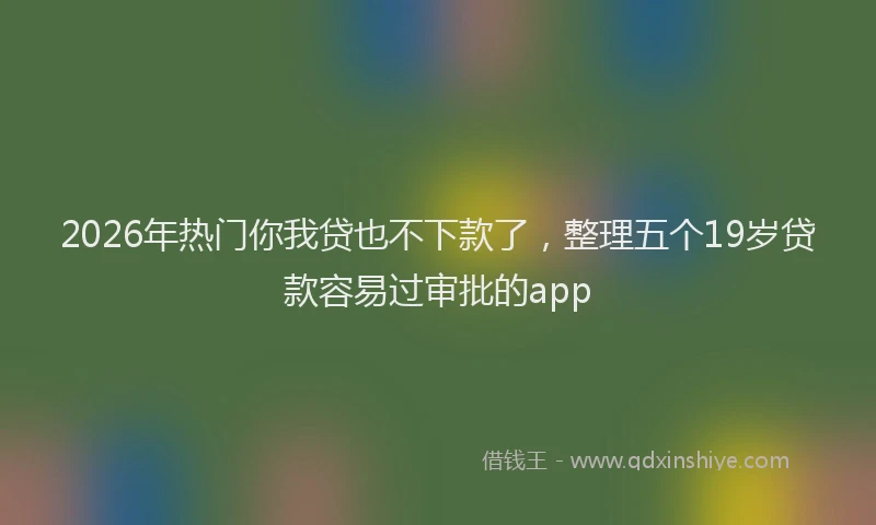 2026年热门你我贷也不下款了，整理五个19岁贷款容易过审批的app