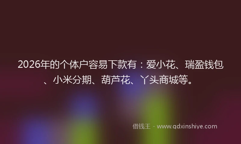 2026年的个体户容易下款有：爱小花、瑞盈钱包、小米分期、葫芦花、丫头商城等。