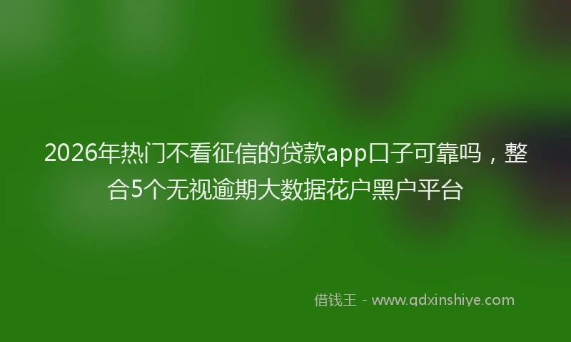 2026年热门不看征信的贷款app口子可靠吗，整合5个无视逾期大数据花户黑户平台