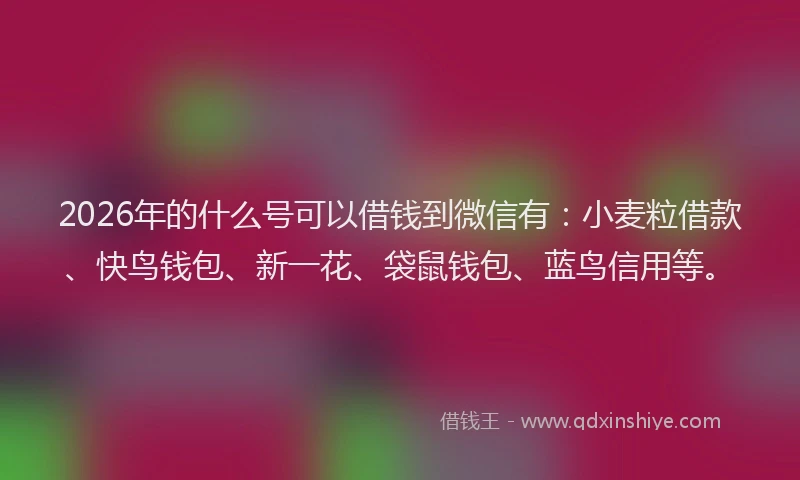 2026年的什么号可以借钱到微信有：小麦粒借款、快鸟钱包、新一花、袋鼠钱包、蓝鸟信用等。