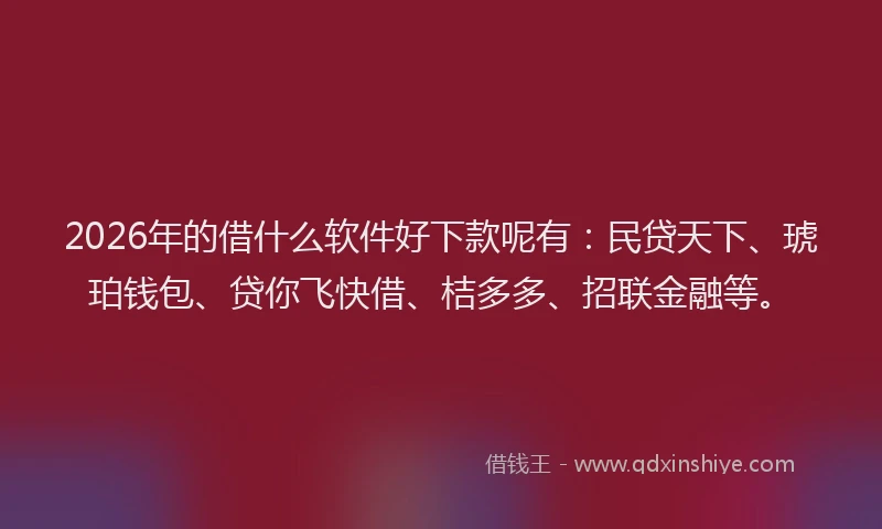 2026年的借什么软件好下款呢有：民贷天下、琥珀钱包、贷你飞快借、桔多多、招联金融等。