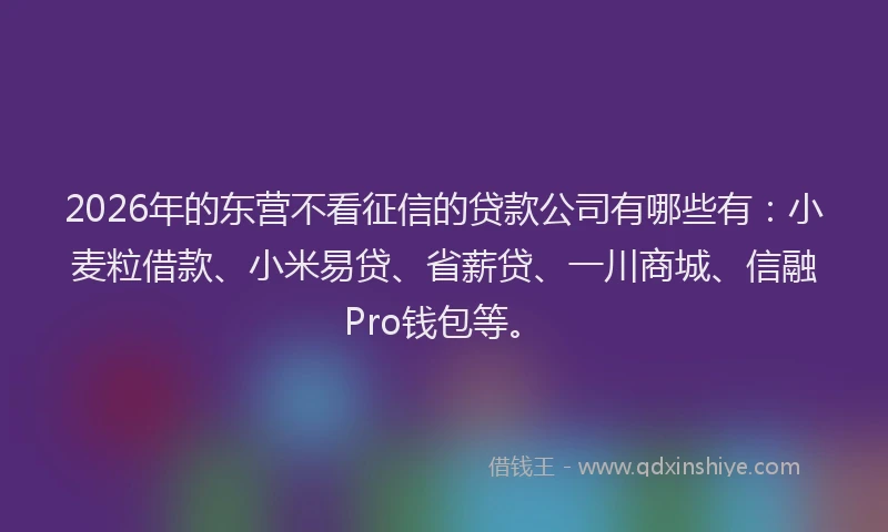 2026年的东营不看征信的贷款公司有哪些有：小麦粒借款、小米易贷、省薪贷、一川商城、信融Pro钱包等。