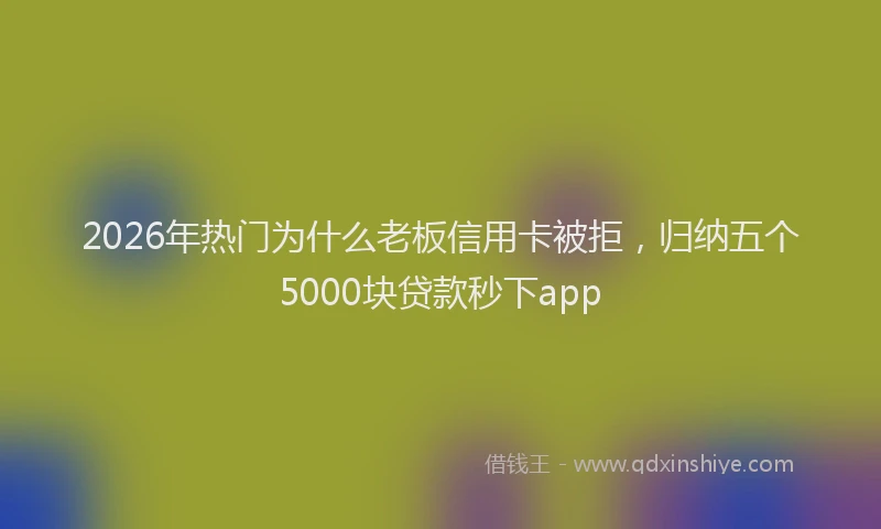 2026年热门为什么老板信用卡被拒，归纳五个5000块贷款秒下app