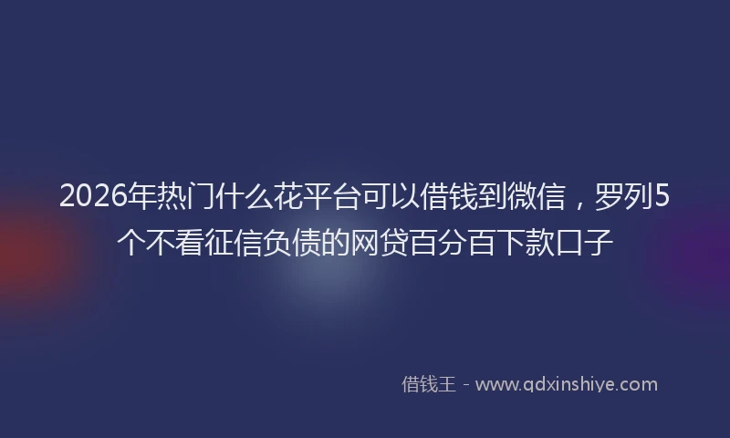 2026年热门什么花平台可以借钱到微信，罗列5个不看征信负债的网贷百分百下款口子