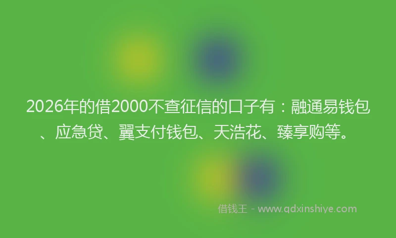 2026年的借2000不查征信的口子有：融通易钱包、应急贷、翼支付钱包、天浩花、臻享购等。