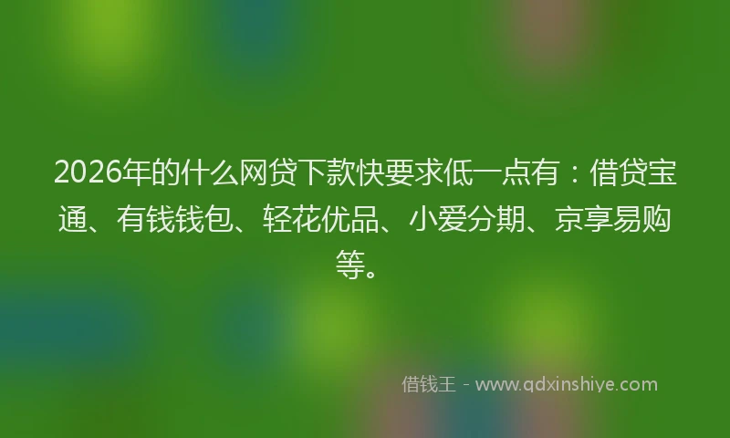 2026年的什么网贷下款快要求低一点有：借贷宝通、有钱钱包、轻花优品、小爱分期、京享易购等。
