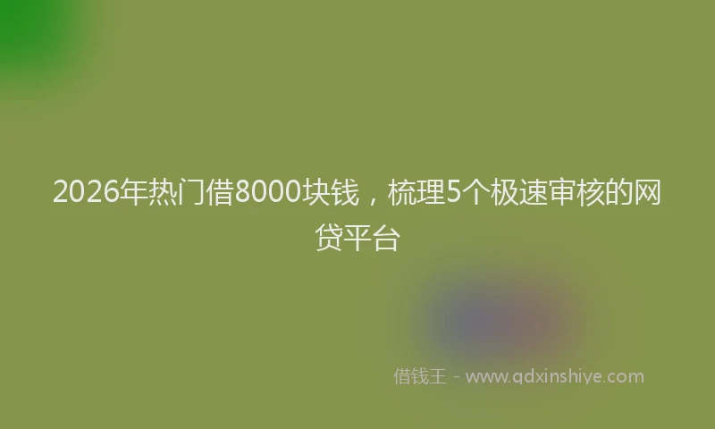 2026年热门借8000块钱，梳理5个极速审核的网贷平台