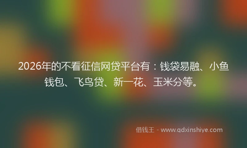 2026年的不看征信网贷平台有：钱袋易融、小鱼钱包、飞鸟贷、新一花、玉米分等。