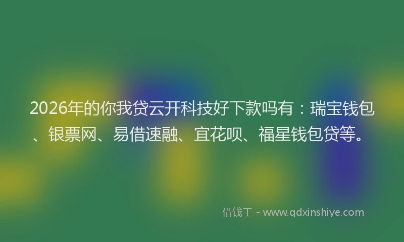 2026年的你我贷云开科技好下款吗有：瑞宝钱包、银票网、易借速融、宜花呗、福星钱包贷等。