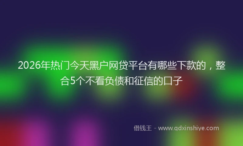 2026年热门今天黑户网贷平台有哪些下款的，整合5个不看负债和征信的口子