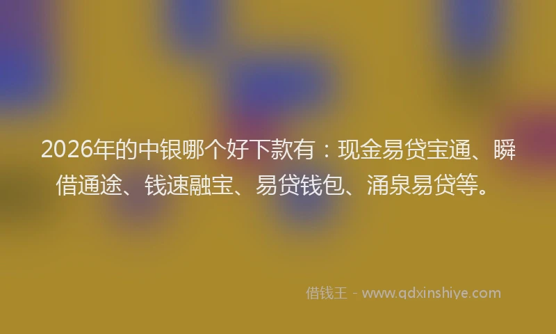 2026年的中银哪个好下款有：现金易贷宝通、瞬借通途、钱速融宝、易贷钱包、涌泉易贷等。