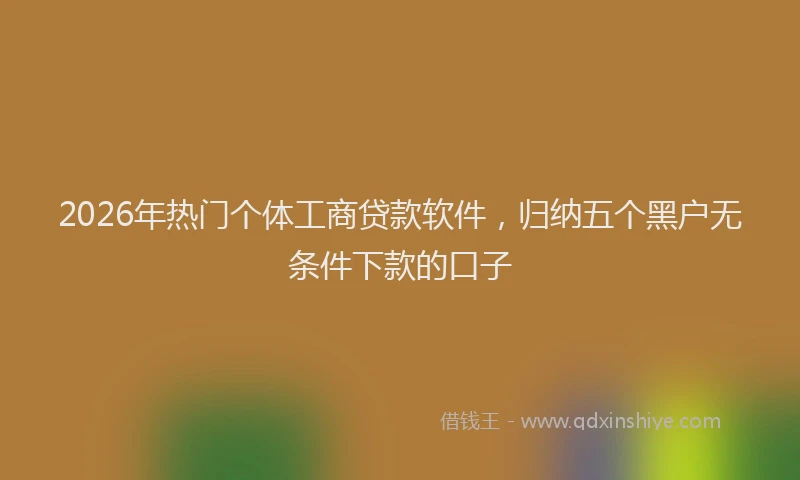 2026年热门个体工商贷款软件，归纳五个黑户无条件下款的口子