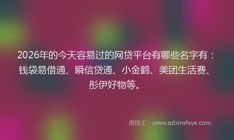 2026年的今天容易过的网贷平台有哪些名字有：钱袋易借通、瞬信贷通、小金鹤、美团生活费、彤伊好物等。