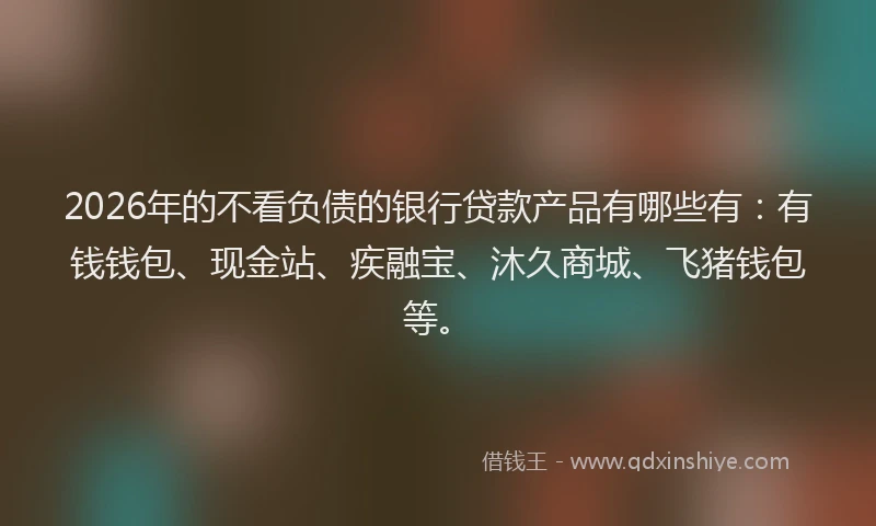 2026年的不看负债的银行贷款产品有哪些有：有钱钱包、现金站、疾融宝、沐久商城、飞猪钱包等。